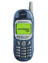 Best available price of Motorola T190 in Southafrica